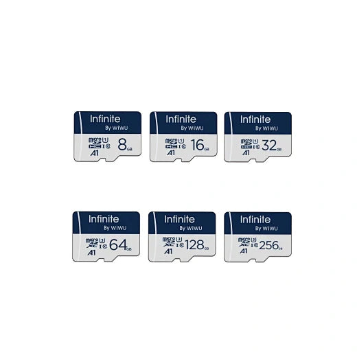 Memory Cards & Flash Drivers