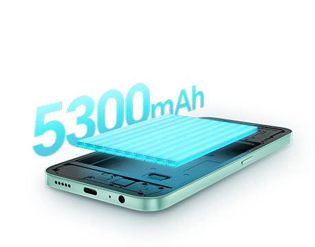 Honor X6c